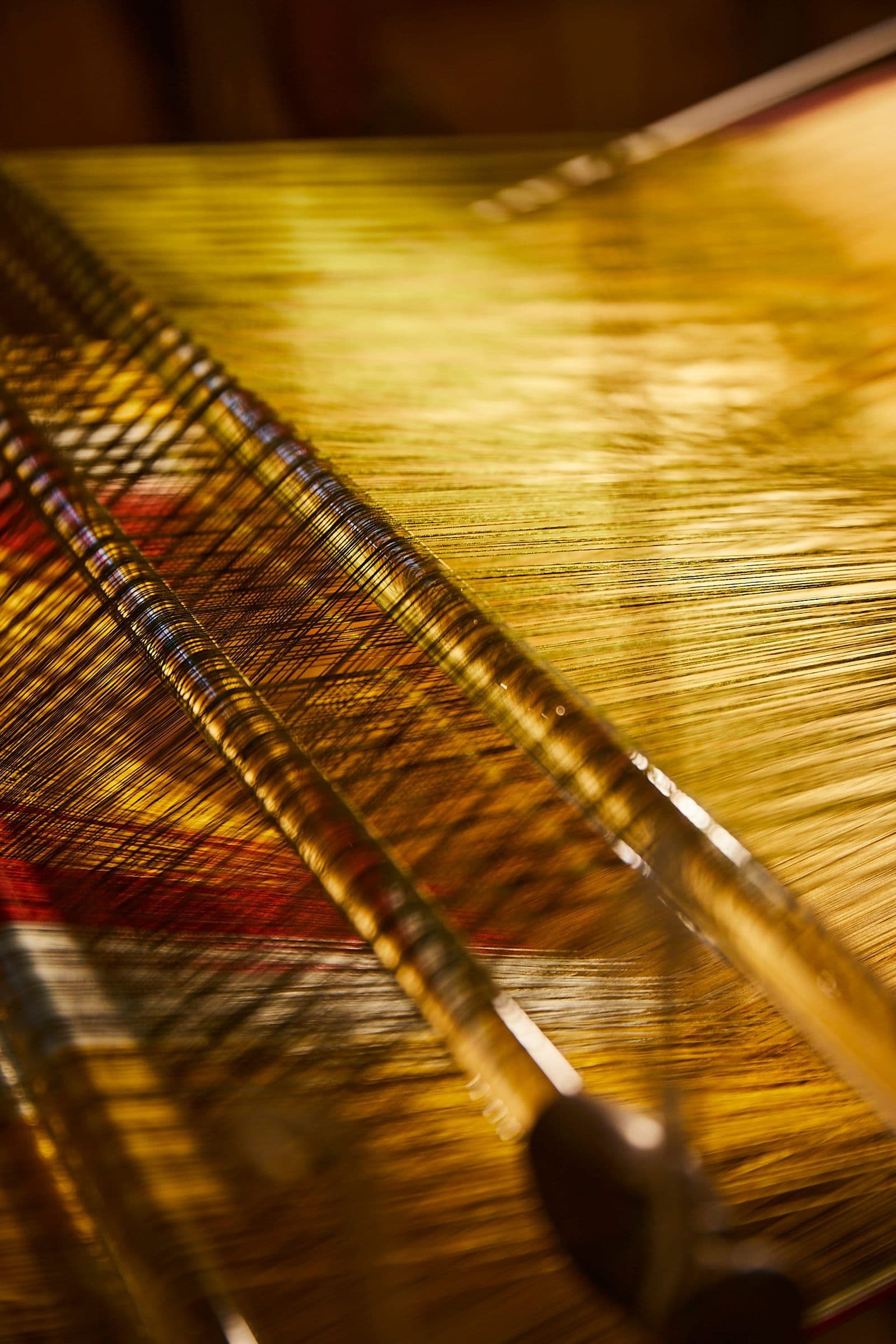 Fendi — Le Forme dell'Acqua — immagine 2