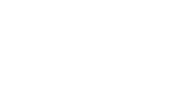 DAMIANI