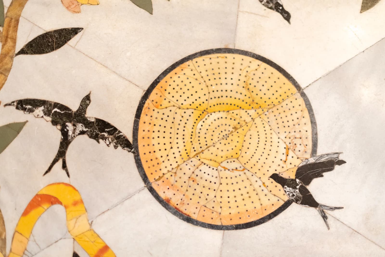 Santa Maria Novella — L'Officina delle Meraviglie